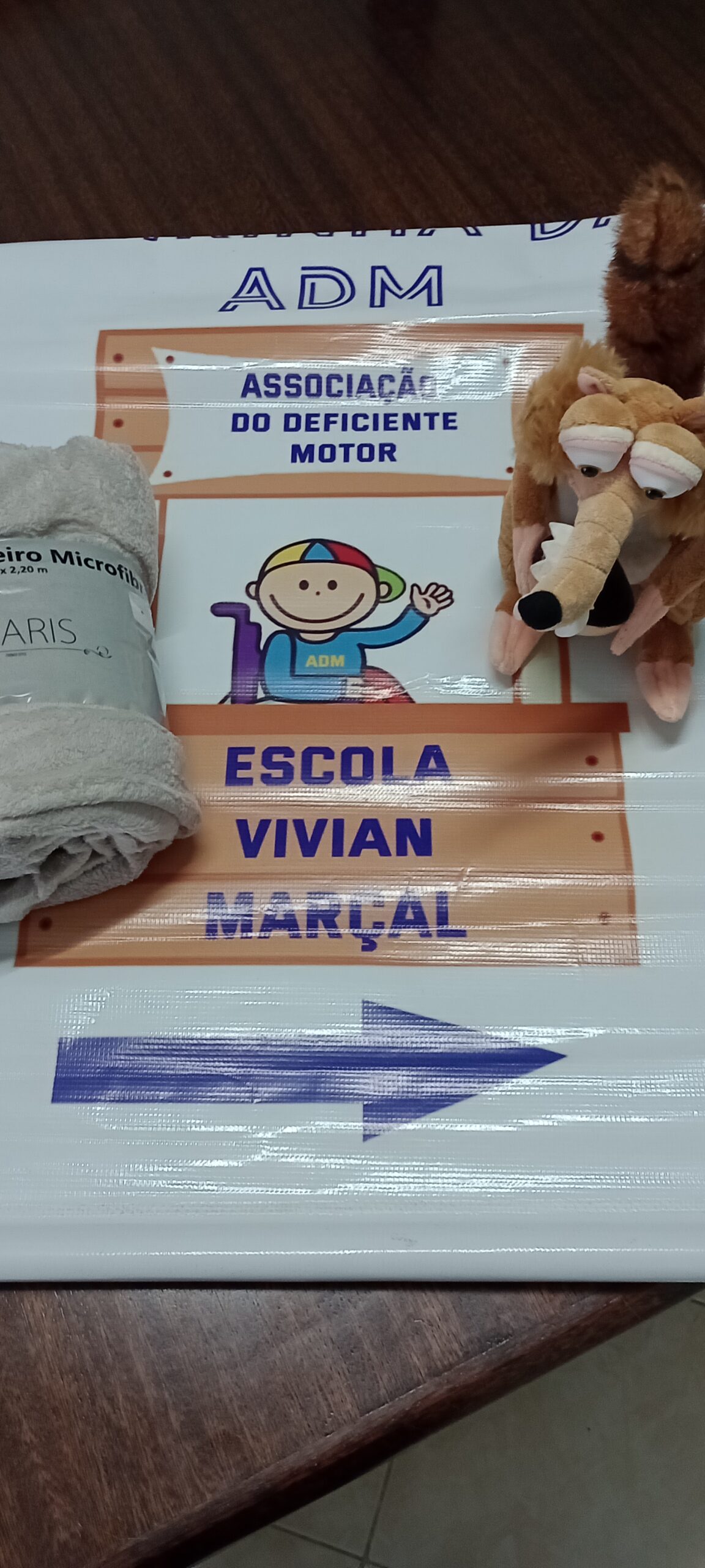 Foto  - [CANCELADA] Rifa para ajudar as escolas Vivian Marçal